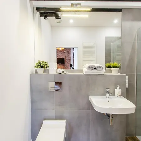 Loft 6 W Centrum Miasta
